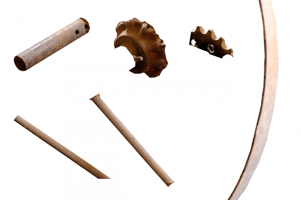 Creation of Species: Step 1